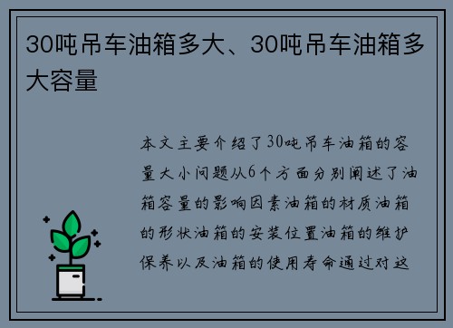 30吨吊车油箱多大、30吨吊车油箱多大容量