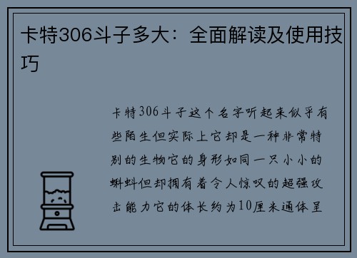 卡特306斗子多大：全面解读及使用技巧